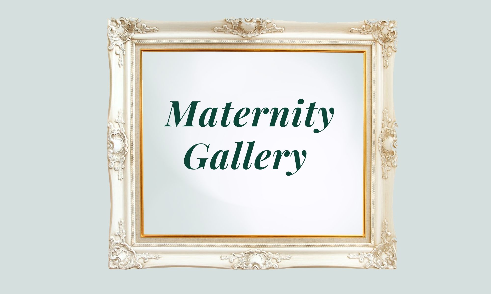 Alpina Photography-Maternity Gallery