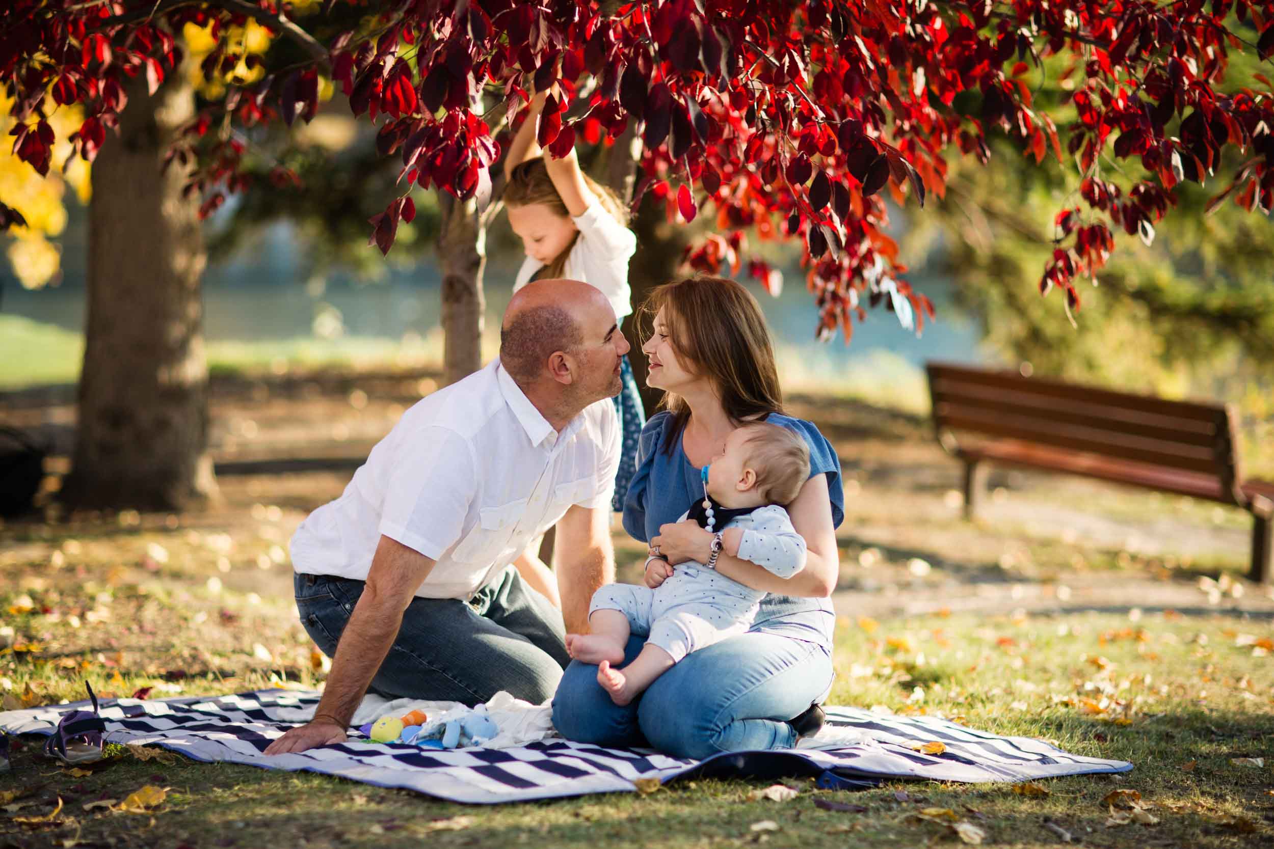 family picknik in the park