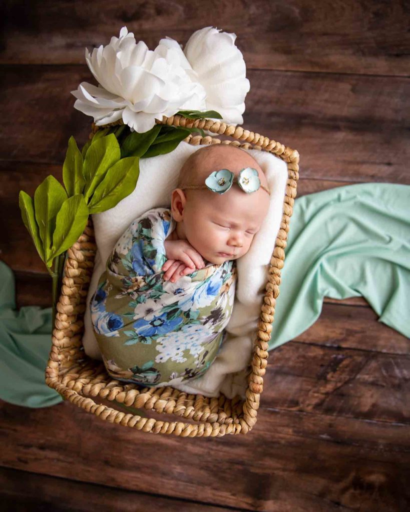 newborn baby in a basket-Alpina Photography