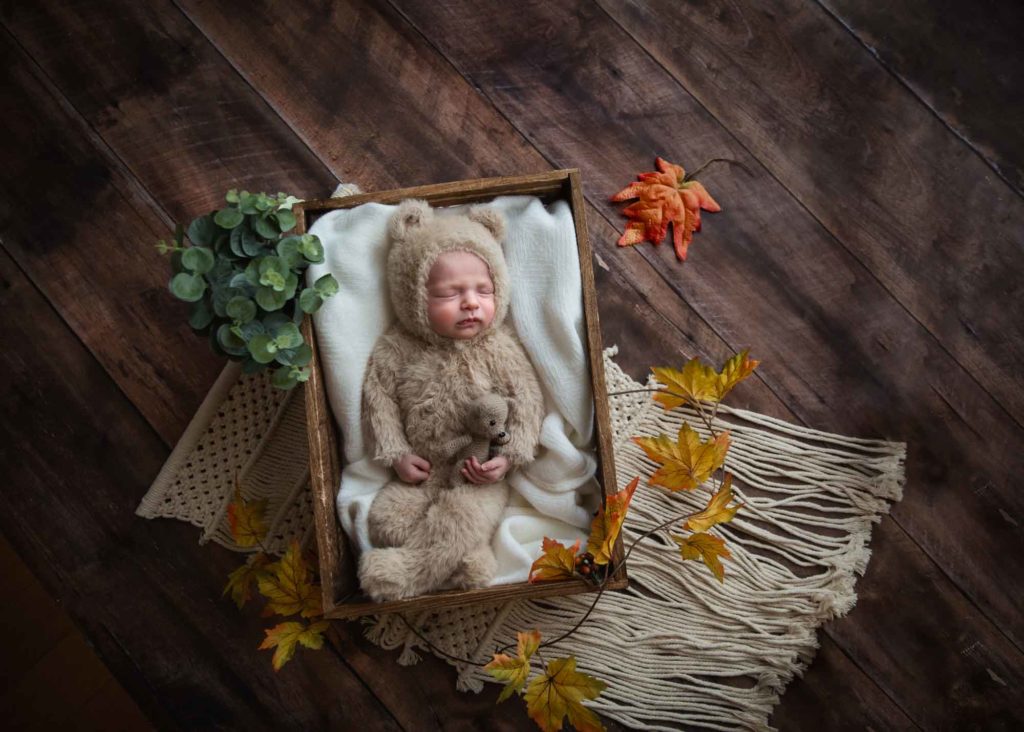 newborn baby in a bear costume